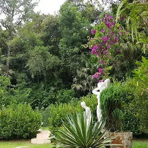 Domus Espaço In Sol E Natureza Apartamento Blumenau